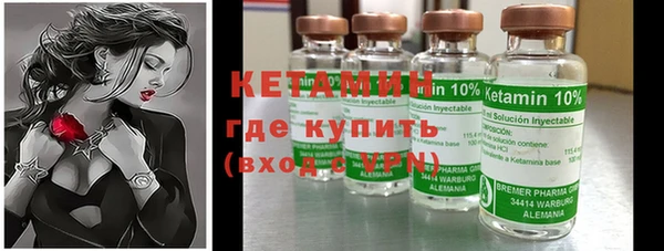 индика Кулебаки