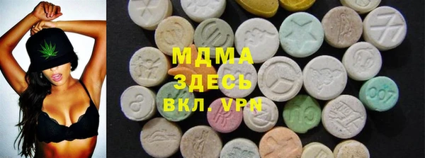 индика Кулебаки