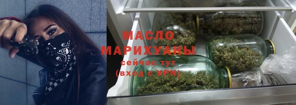 индика Кулебаки