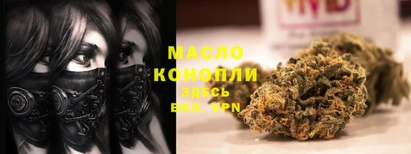 индика Кулебаки