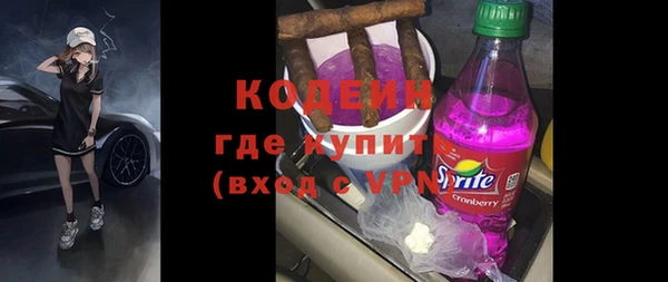индика Кулебаки