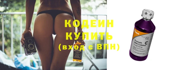 индика Кулебаки