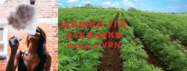 индика Куйбышев