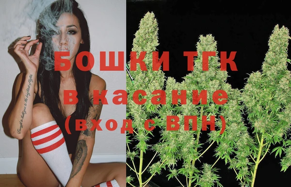 индика Куйбышев