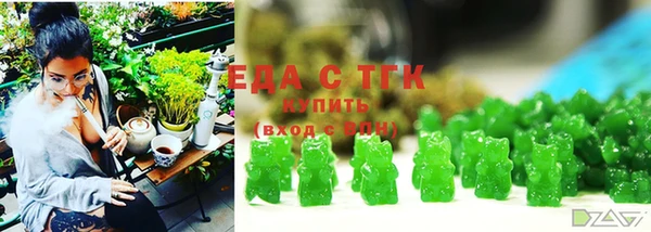 индика Кулебаки