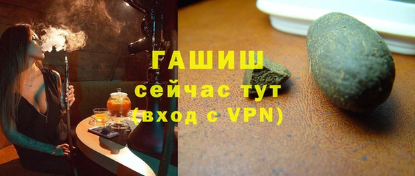 индика Кулебаки