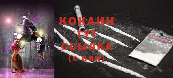 индика Куйбышев