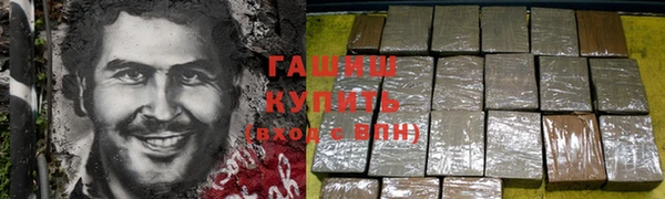 индика Кулебаки