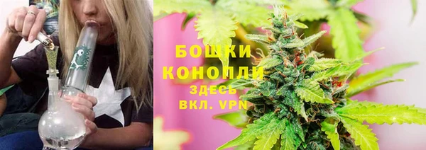индика Куйбышев