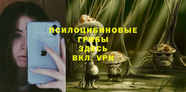 индика Куйбышев