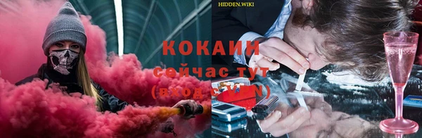 индика Куйбышев